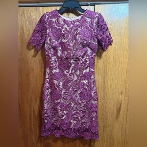 Anna Crochet Lace Sheath Mulberry/Nude Dress